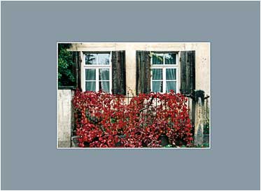 Abbildung Postkarte mit Motiv "Haus Leonhardt" in Radebeul bei Dresden
